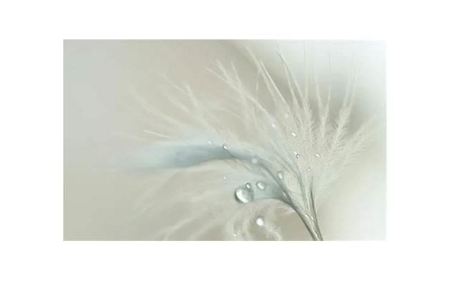 男人最喜欢听女人说什么情话 男人最敏感的部位是哪里