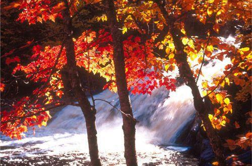 2025年简短的正能量早安句子摘录90条