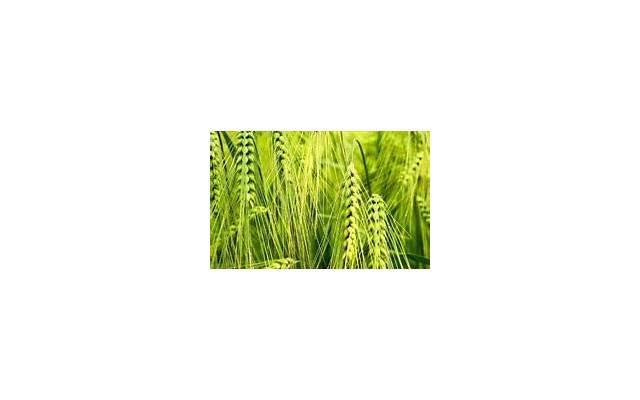 自己的朋友圈感慨说说 人生世事无常的感慨朋友圈说说 自己的朋友圈感慨说说 人生世事无常的感慨朋友圈说说