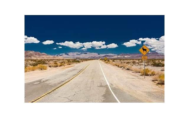 课间操文案短句治愈集合66句 课间操文案短句治愈集合66句