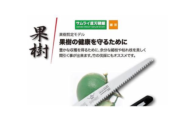  摘苹果的句子简短集合86句