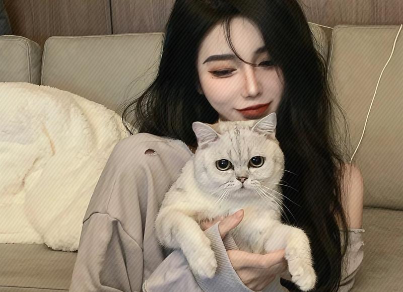 关于减肥的好句子(精选788句) 关于减肥的好句子(精选788句)