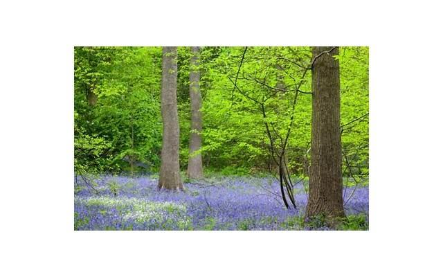  带颜色的句子四年级短句整理60条