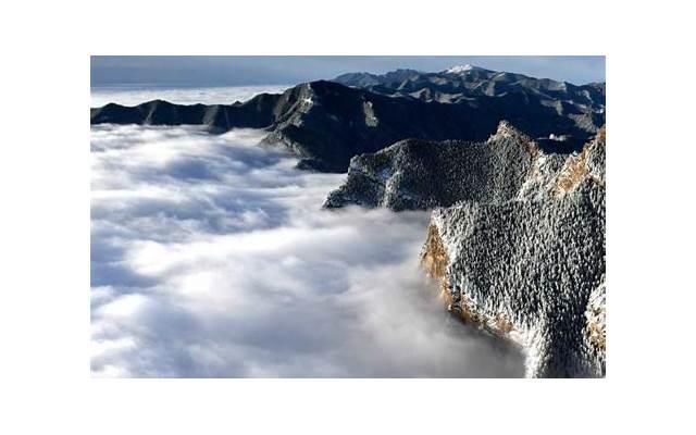 跟天蝎说分手他不回信息，为什么天蝎座总是不回复信息