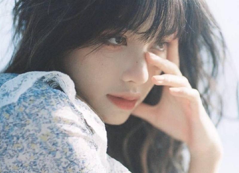 描写表情包的短句子汇集50条 描写表情包的短句子汇集50条