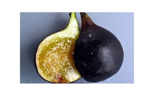 表达爱情的语句