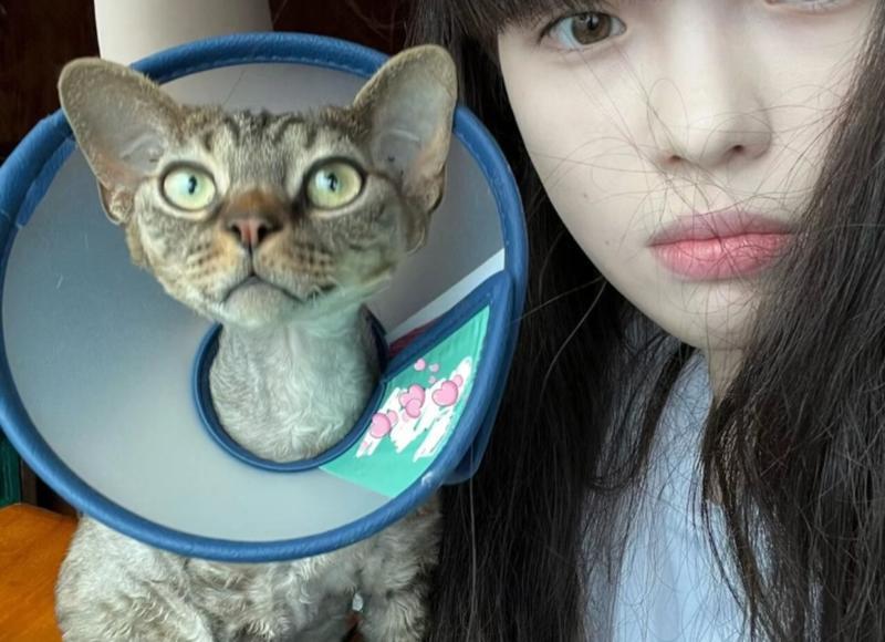 爱情的唯美浪漫句子(浪漫爱情情话经典句子)