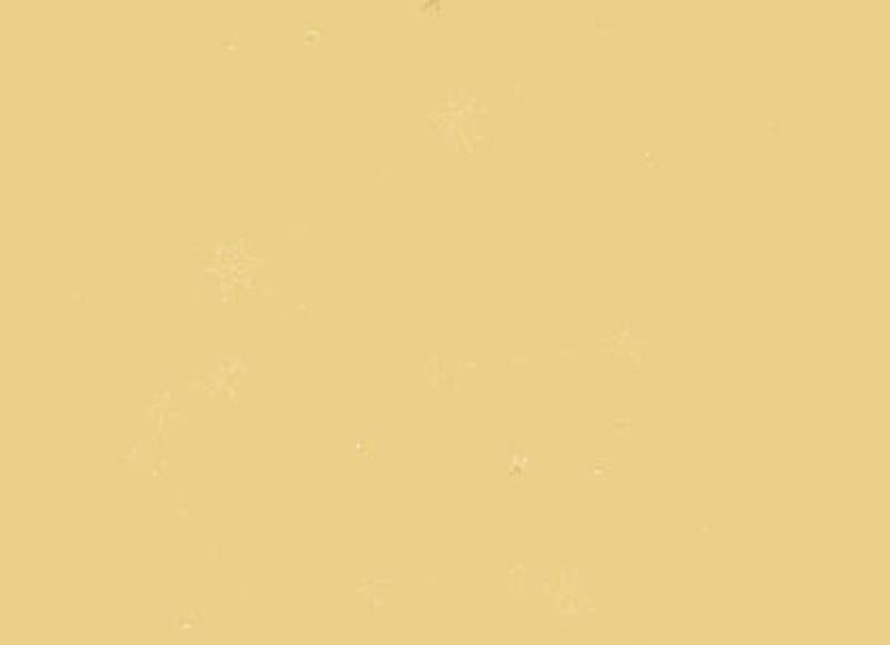 歌词里的经典语句爱情（甜言蜜语的情话哄男朋友简单粗暴）