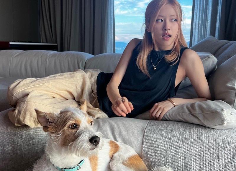 说说爱情悲伤句子 说说爱情悲伤句子