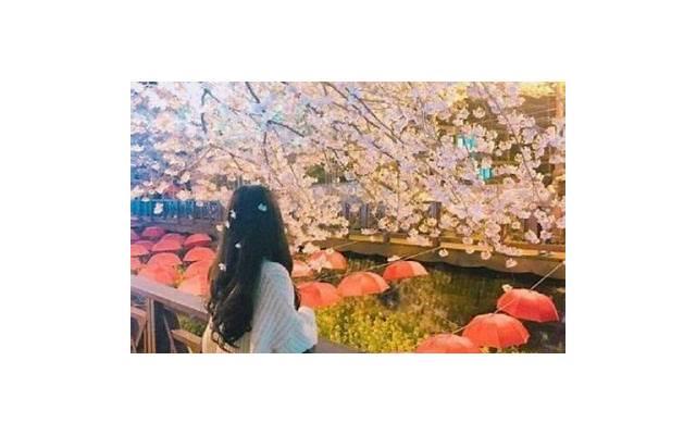 你会弹钢琴吗情话套路「爱情短片的视听语言影评」