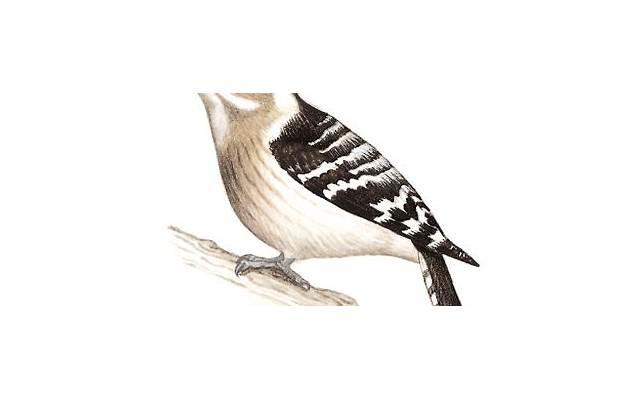 关于爱情的经典说说句子 关于爱情的经典说说句子