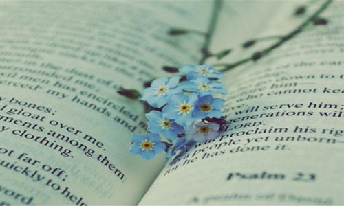 关于书籍名人名言