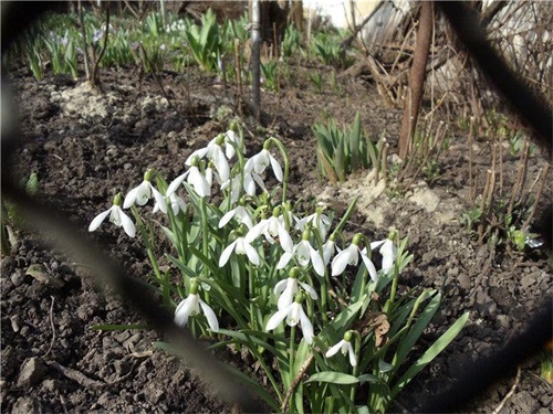 关于细心的名言名句(19句)