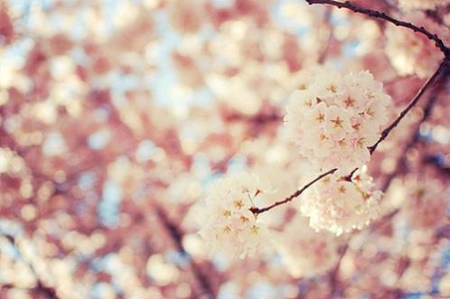 关于合作的名言警句有哪些