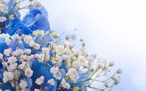 关于合作的名言警句有哪些