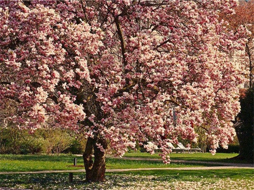 关于旅游的名言名句(15句)