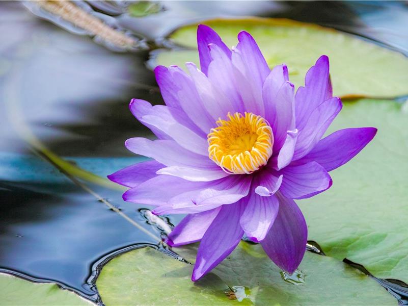 关于陪伴的名言名句(14句)