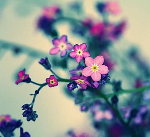 室内设计师设计理念