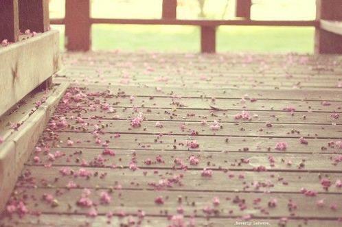 申论范文30篇背诵2025