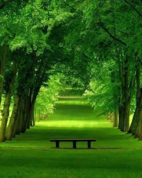 申论范文30篇背诵2025