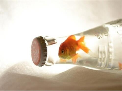 善于变通的事例50字