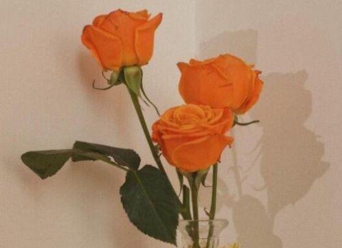 爱国铭记历史的名言