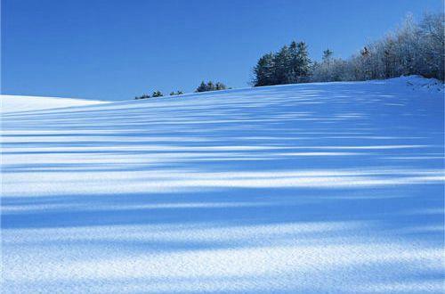 爱国铭记历史的名言