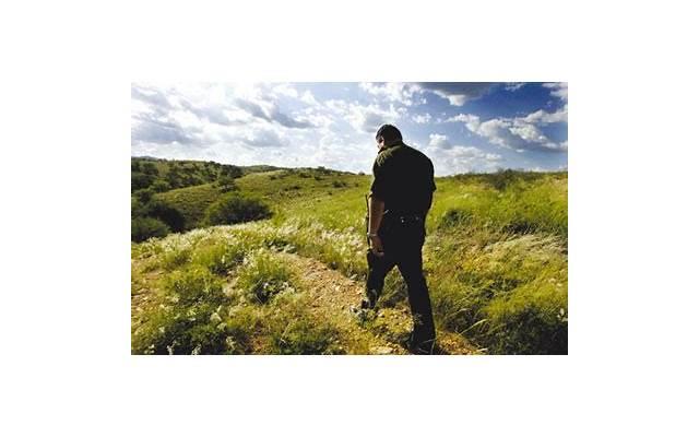 心情感情名言名句大全(失去感情无奈的句子说说心情) 心情感情名言名句大全(失去感情无奈的句子说说心情)