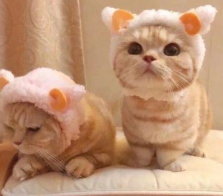 坚持名言警句摘抄大全