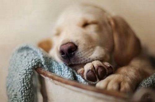 关于爱国的名人名言大全