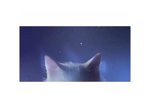  兄弟过生日伤感短句选录96句