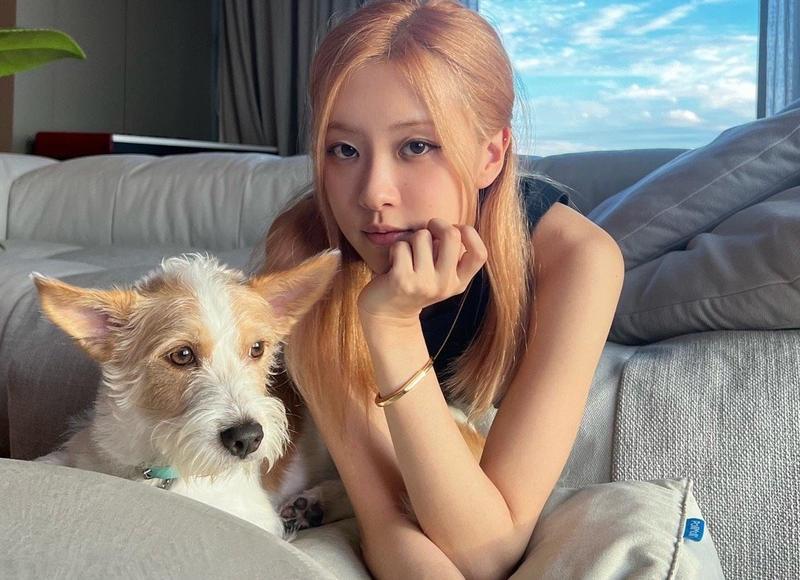 孤独伤感的好句(精选115句) 孤独伤感的好句(精选115句)