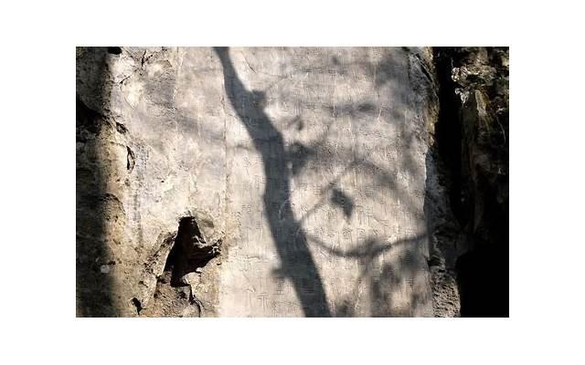 每日清晨正能量短句选录90句 每日清晨正能量短句选录90句