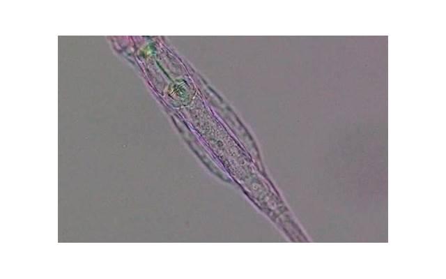 古代励志正能量名言( 古代励志正能量名言：逆境中的坚韧与智慧)