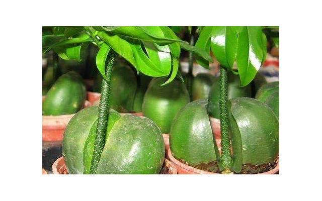 精辟的句子致自己(给自己的正能量的句子说说心情) 精辟的句子致自己(给自己的正能量的句子说说心情)