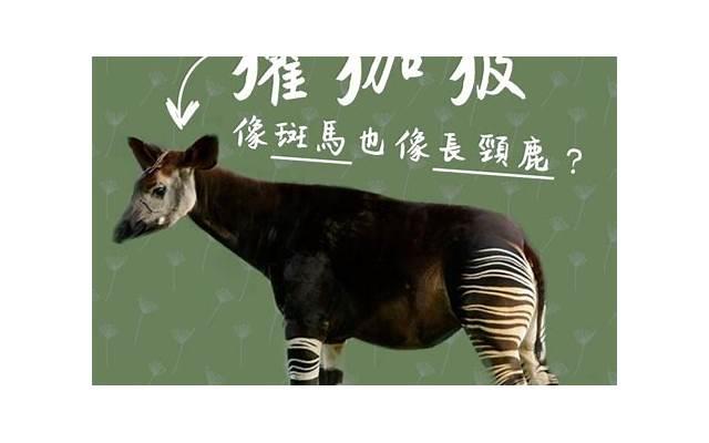 陪孩子写作业正能量说说 陪孩子写作业的唯美句(精选26句) 陪孩子写作业正能量说说 陪孩子写作业的唯美句(精选26句)