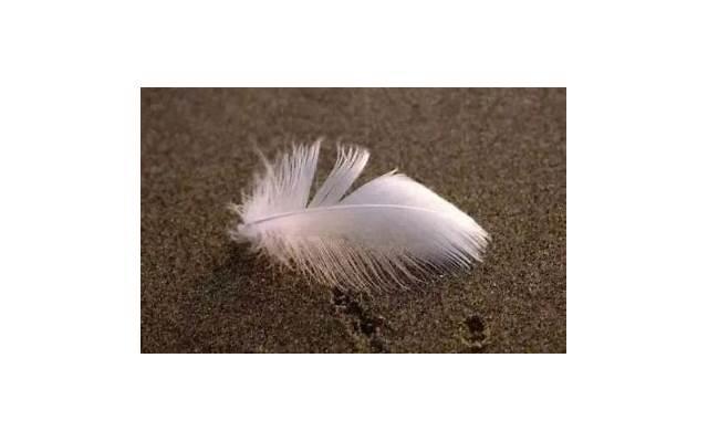 关于青春励志的句子(青春宣言励志 短句) 关于青春励志的句子(青春宣言励志 短句)