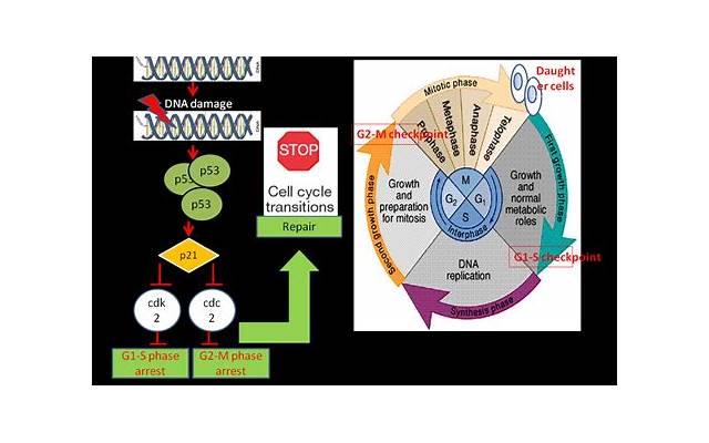 签名说说简短爱情(精选53句) 签名说说简短爱情(精选53句)