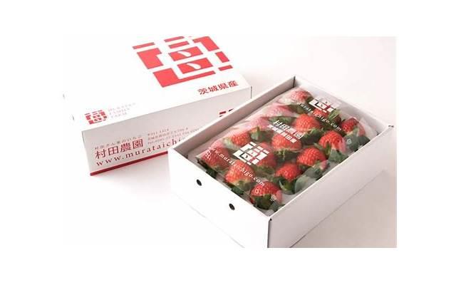 前辈说的话经典语录[放手去爱情话说的]