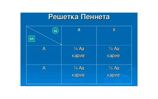 卑微爱情情感语录说说(经典情感爱情语录) 卑微爱情情感语录说说(经典情感爱情语录)