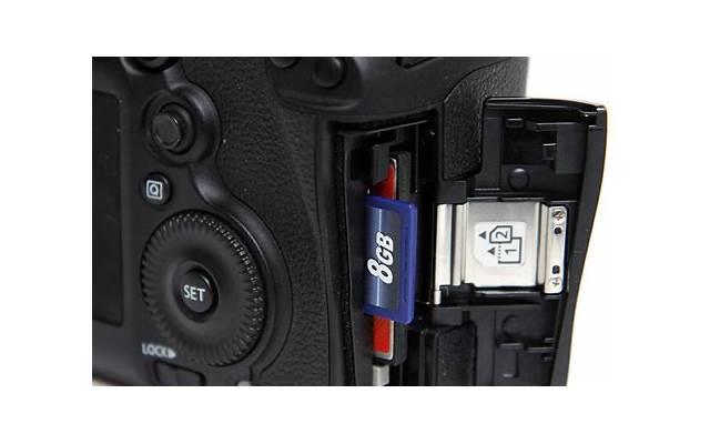 形容花的漂亮的句子精选109句 形容花的漂亮的句子精选109句