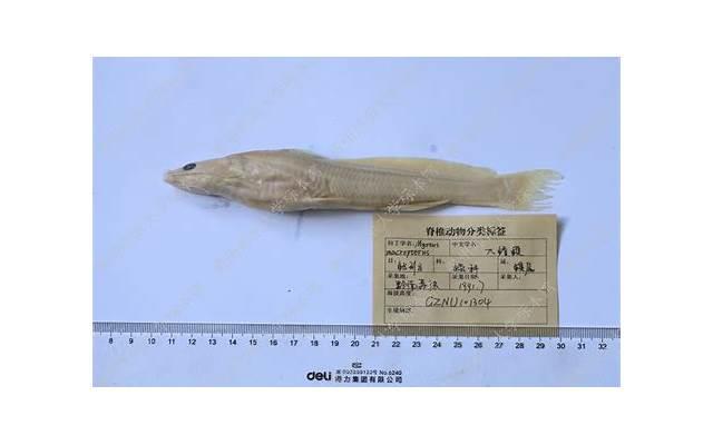  感情悲伤文案的短句选录86条