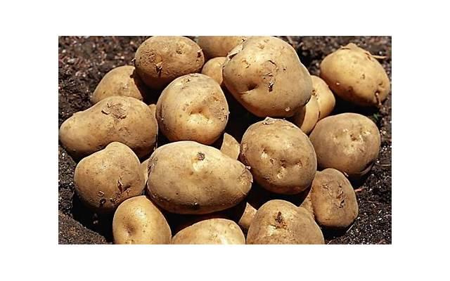 用时间证明的短句细选100句 用时间证明的短句细选100句