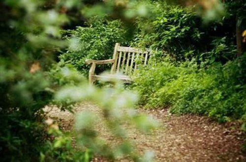 祝最好的朋友生日快乐的文案