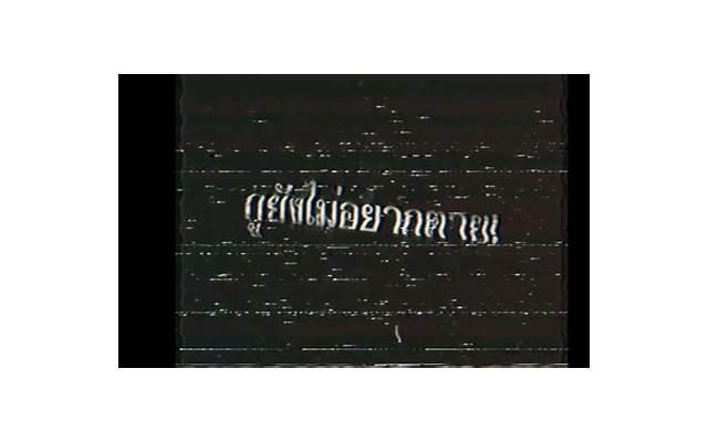 精选15条短句的表白的话（表白 短）