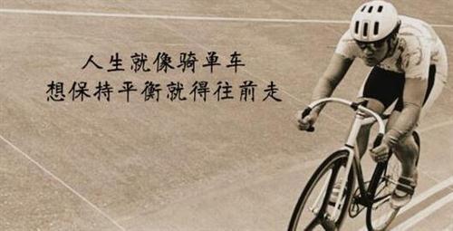 关于感悟爱情的经典句子收集