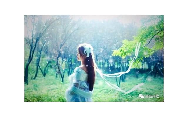 从相识相知到白头到老 老公给老婆说的情话