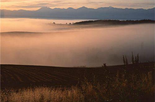自尊心被伤的经典句子 别人伤到自尊心的句子