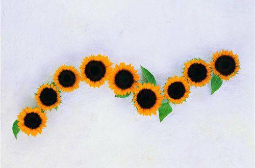 每天对女朋友说一句最暖情话