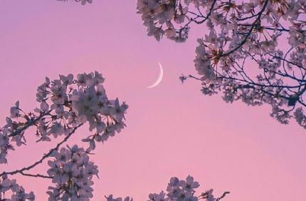 qq说说个性文艺的句子